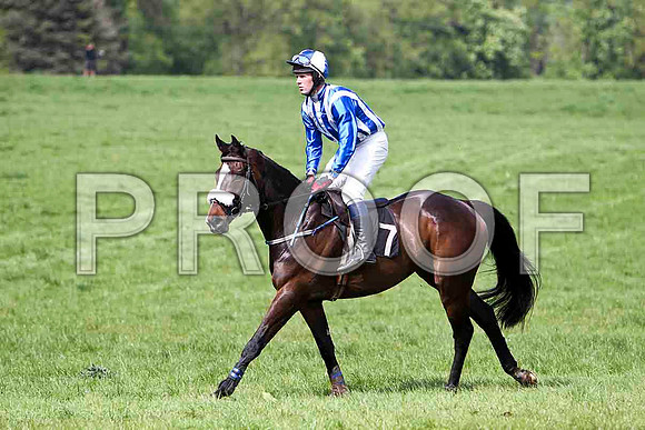 Mourne Paddy, Unplaced, Jockey J D Moore -FT8E2040-e