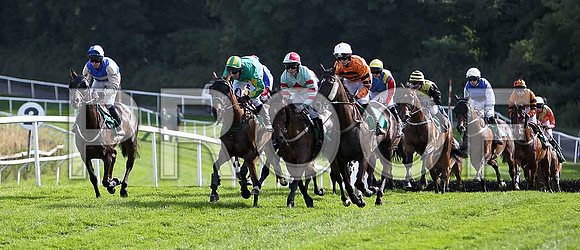 Uncommitted (centre red diamond) the eventulal winner shares the lead - CU2D1792-e