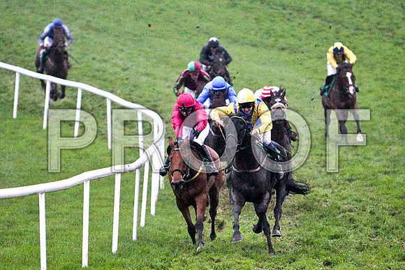 Griesenau in the lead, Jockey Miss N Carberry , 3nd - FT8E5560-e2