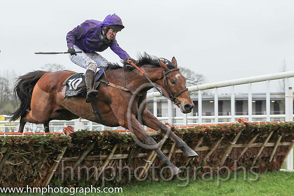 02 Court Jester & J S McGarvey - 2nd (10, purple) - CU2D0679-1