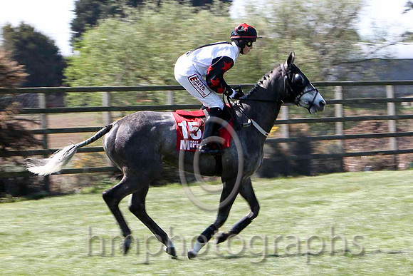 Magnetic Force 3rd, Jockey K M Donoghue - FT8E2144-e