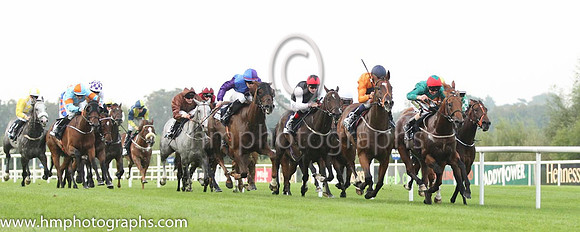 01 Baraweez and C O'Conoghue - - 01st (12 ,orange, dark blue disc ) Trainer - B Ellison
