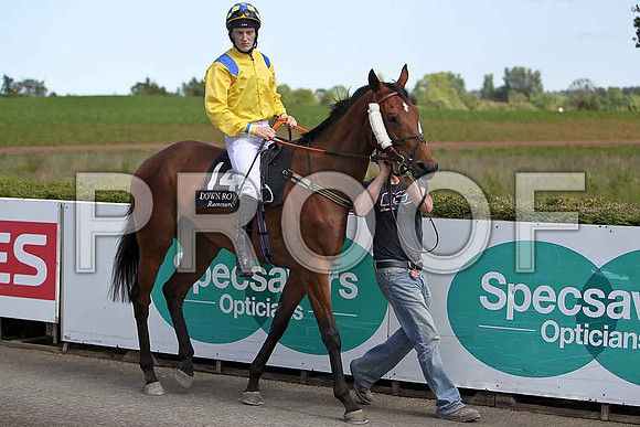 Vignelaure Rose 7th, Jockey W J Lee - CU2D0319-e