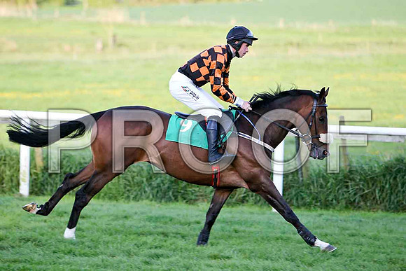 Mister Philson , Fell, Jockey Derek O'Connor - FT8E3150-e