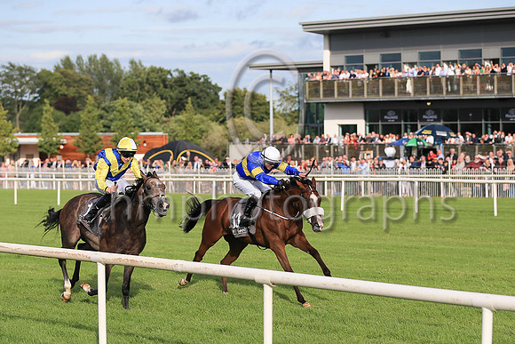 01st Lisard Lady  Wayne Lordan (13, royal blue, yellow hoop) Trainer Thomas Cooper, Owner Thomas Cooper
