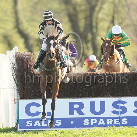 01st Springfield Lodge  and J C Gainford7 ( 13 , beige, black epaulettes ) Trainer - E OGrady , Owner - Falcon Four Syndicate