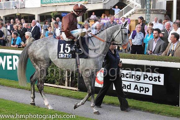 09 Dream Walker and C D Hayes - - 09th (15 ,brown, brown cap ) Trainer - B Ellison