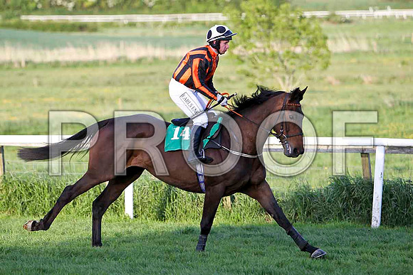 Alabama Baby , 6th, Jockey - Mr J P McKeown - FT8E3137-e