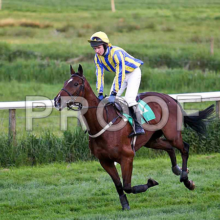 Sunny Option , PU, Jockey - Mr N McParlan - FT8E3233-e