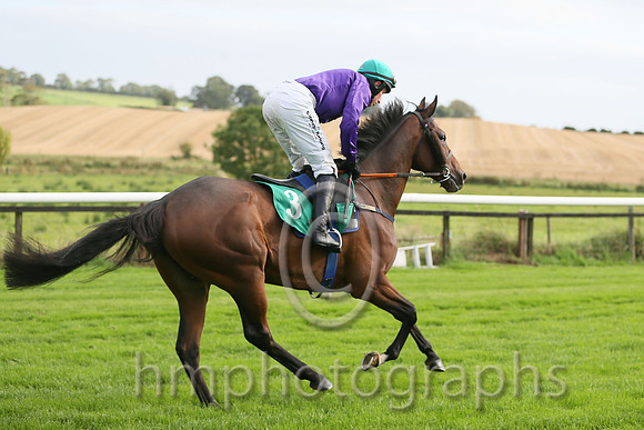 01st Gold Patrol ( 3 , purple, green cap ) and M.P. Fogarty - Trainer : Colin Bowe - Owner : Mountfinn Racing Partnership