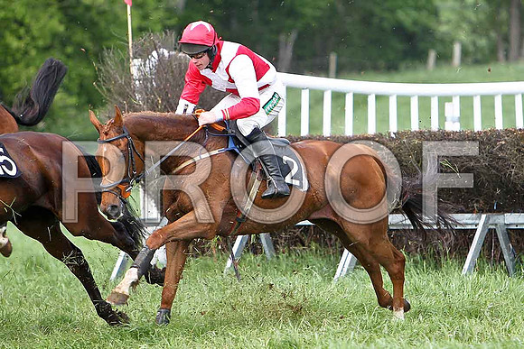 Fourth Race - Uasaka (2) 7th, Rider Derek O'Connor - CU2D9612-e