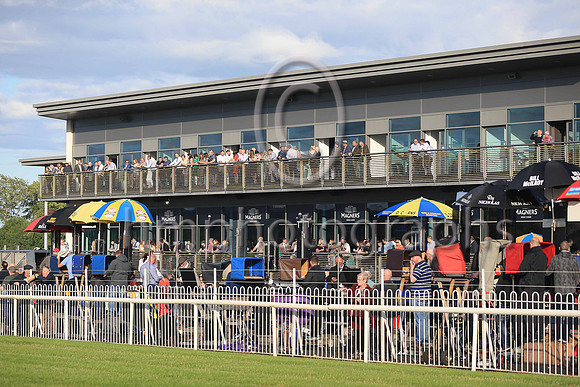 Spectators enjoy the sunshine at Down Royal at Magners Race Evening
