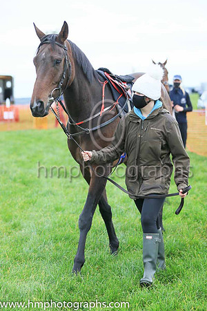 Parade ring at Portrush P2P
