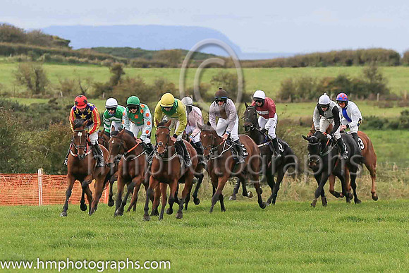 The start of the Albert Bartlett Maiden race for 5 year old geldings