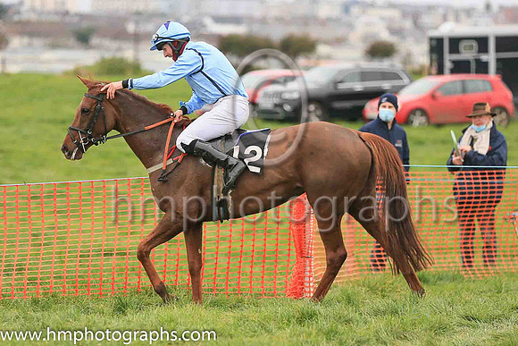 1 WELL BRIEFED and B G Crawford ( 12 , LIGHT BLUE,navy seams; light blue sleeves; light blue cap,purple star ) Trainer: S.R.B. Crawford,, Owner : S.R.B. Crawford