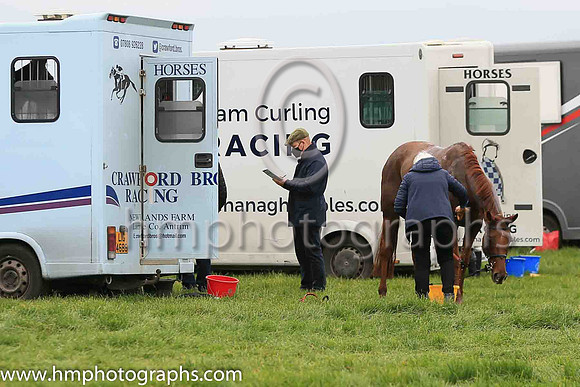 Looking after the horses at Portrush P2P
