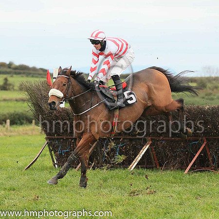 05th LIKE A DEMON (GB) and P C Bannon ( 5 , WHITE,red chevrons; white sleeves,red chevrons; white  red striped cap ) Trainer: Nigel Slevin,, Owner : Camillus Slevin