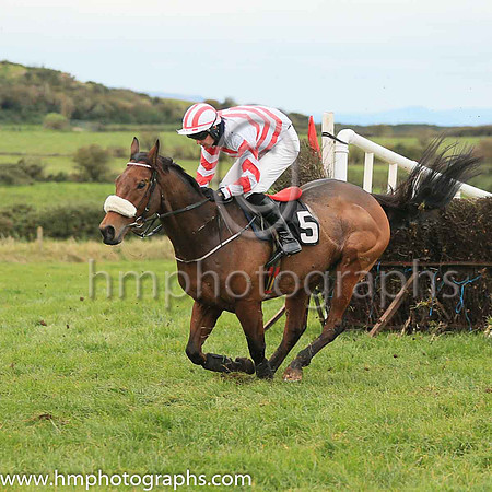 05th LIKE A DEMON (GB) and P C Bannon ( 5 , WHITE,red chevrons; white sleeves,red chevrons; white  red striped cap ) Trainer: Nigel Slevin,, Owner : Camillus Slevin