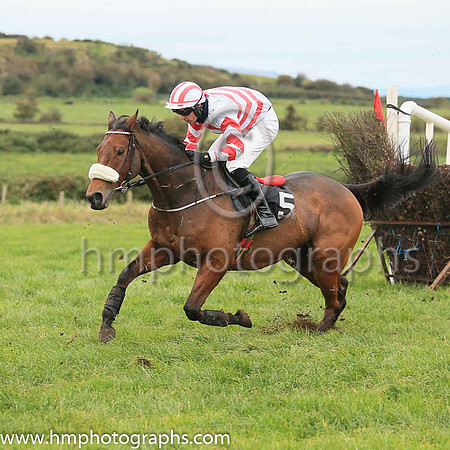 05th LIKE A DEMON (GB) and P C Bannon ( 5 , WHITE,red chevrons; white sleeves,red chevrons; white  red striped cap ) Trainer: Nigel Slevin,, Owner : Camillus Slevin