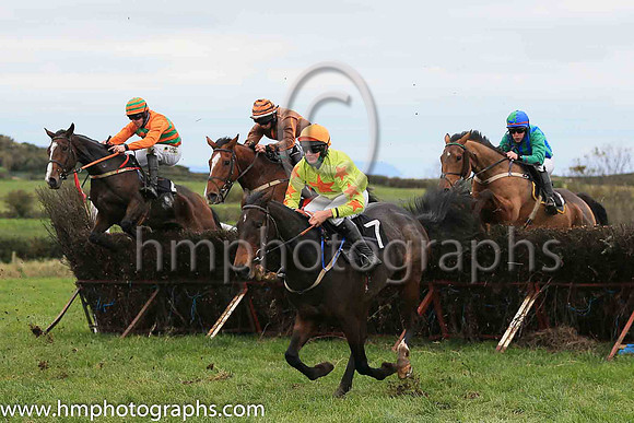 02nd LOUGH DERG LYRIC and B Lawless ( 7 , LIGHT GREEN,orange star; light green sleeves,orange stars; orange cap ) Trainer: Gerard Lawless,, Owner : Syndicate Ballydonagh