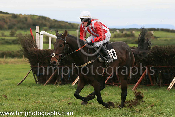 04th MARKET PARADE and D J McConville ( 10 , RED  WHITE STRIPES; red sleeves; white cap ) Trainer: Daire J. McConville,, Owner : Daire J. McConville