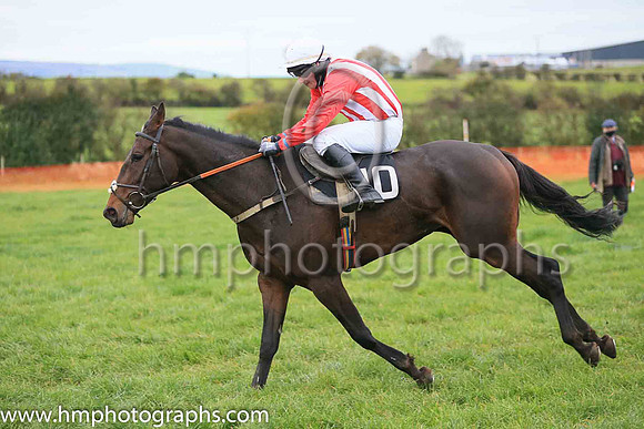 04th MARKET PARADE and D J McConville ( 10 , RED  WHITE STRIPES; red sleeves; white cap ) Trainer: Daire J. McConville,, Owner : Daire J. McConville