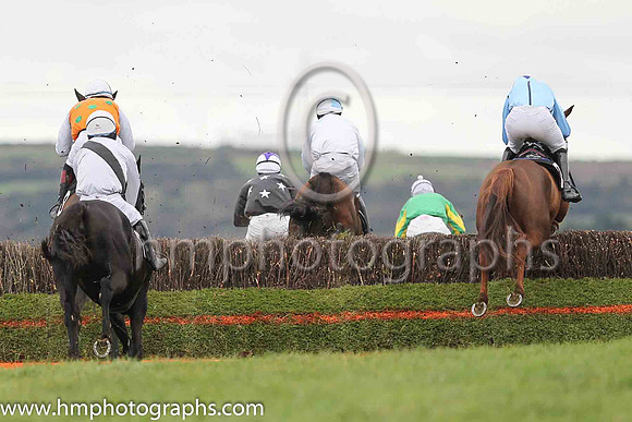 1 WELL BRIEFED and B G Crawford ( 12 , LIGHT BLUE,navy seams; light blue sleeves; light blue cap,purple star ) Trainer: S.R.B. Crawford,, Owner : S.R.B. Crawford