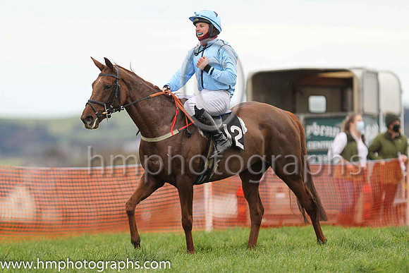 1 WELL BRIEFED and B G Crawford ( 12 , LIGHT BLUE,navy seams; light blue sleeves; light blue cap,purple star ) Trainer: S.R.B. Crawford,, Owner : S.R.B. Crawford