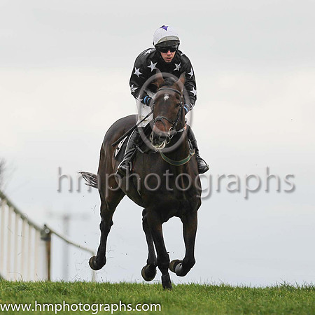 04th MOUNT BECKHAM and P G McGuigan ( 9 , BLACK,white stars; black sleeves,white stars; white cap,purple star ) Trainer: Clare L. Cannon,, Owner : Clare L. Cannon