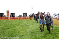 Parade ring at Portrush P2P