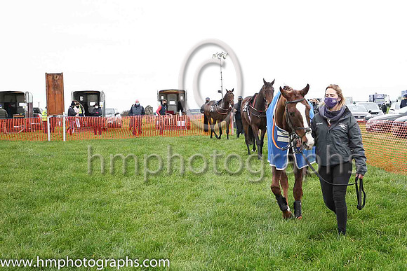 Parade ring at Portrush P2P