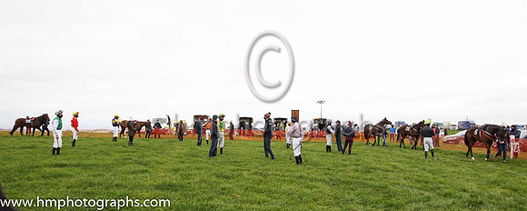 Parade ring at Portrush P2P