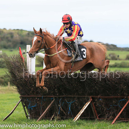 01st ASK D' MAN and B O'Neill ( 3 , LIGHT BLUE,maroon star; light blue  maroon striped sleeves; light blue cap,maroon star ) Trainer: D.M. Christie,, Owner : S.J. Hegarty