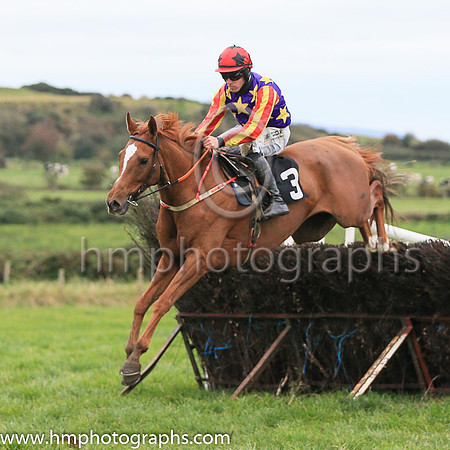 01st ASK D' MAN and B O'Neill ( 3 , LIGHT BLUE,maroon star; light blue  maroon striped sleeves; light blue cap,maroon star ) Trainer: D.M. Christie,, Owner : S.J. Hegarty