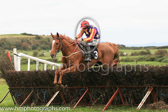 01st ASK D' MAN and B O'Neill ( 3 , LIGHT BLUE,maroon star; light blue  maroon striped sleeves; light blue cap,maroon star ) Trainer: D.M. Christie,, Owner : S.J. Hegarty