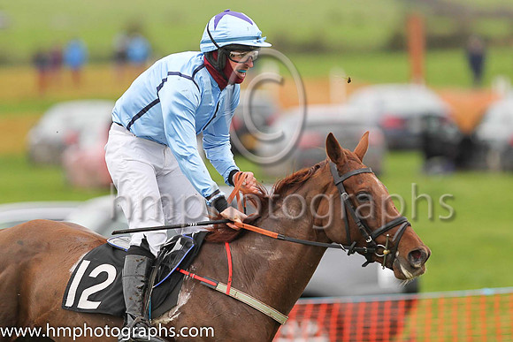 1 WELL BRIEFED and B G Crawford ( 12 , LIGHT BLUE,navy seams; light blue sleeves; light blue cap,purple star ) Trainer: S.R.B. Crawford,, Owner : S.R.B. Crawford
