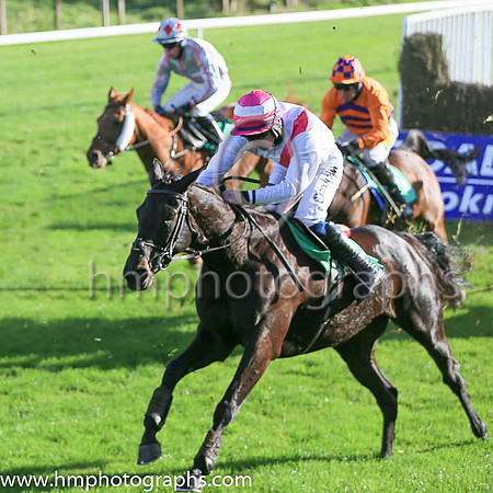 01st Fag An Bealach and D Meyler ( 9 , white, pink sash ) Trainer - A L T Moore , Owner - Marcus Beresford  Athene Keatinge  T Murray