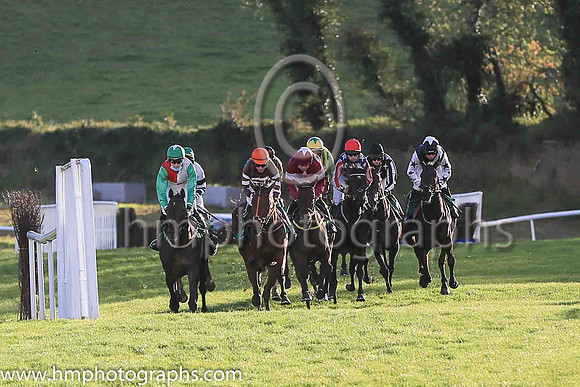 01st Flanking Maneuver and Mr F Maguire ( 2 , maroon, white star ) Trainer - N Meade , Owner - Gigginstown House Stud