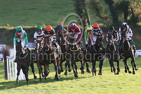 01st Flanking Maneuver and Mr F Maguire ( 2 , maroon, white star ) Trainer - N Meade , Owner - Gigginstown House Stud