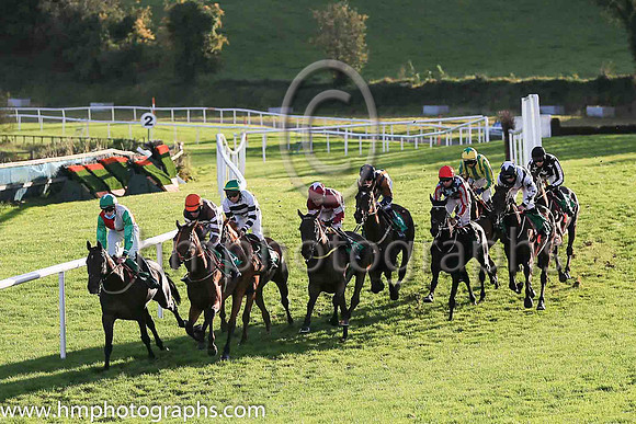 01st Flanking Maneuver and Mr F Maguire ( 2 , maroon, white star ) Trainer - N Meade , Owner - Gigginstown House Stud