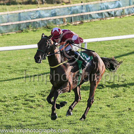 01st Flanking Maneuver and Mr F Maguire ( 2 , maroon, white star ) Trainer - N Meade , Owner - Gigginstown House Stud
