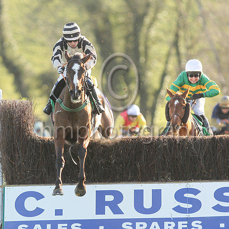 01st Springfield Lodge  and J C Gainford7 ( 13 , beige, black epaulettes ) Trainer - E OGrady , Owner - Falcon Four Syndicate