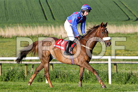 Ashfield Present , 11th, Jockey - Mr P N O'Brien - FT8E3078-e
