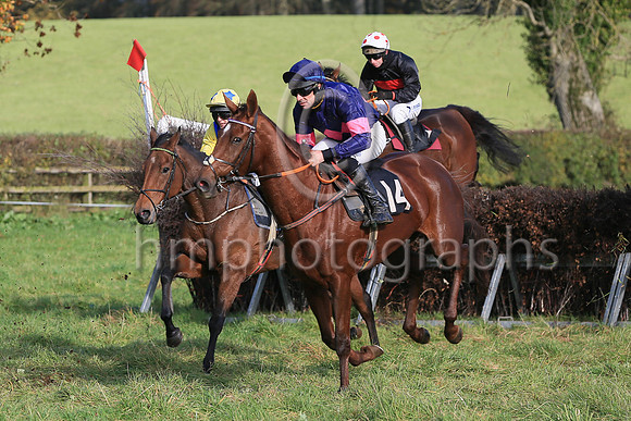 01st THE MEAN QUEEN and J J O'Neill ( 14 , DARK BLUE,pink triple diamond; dark blue sleeves,pink armlet; dark blue cap ) Trainer: Mary E. Doyle,, Owner : Rodman Moorhead