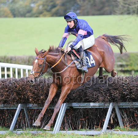 01st THE MEAN QUEEN and J J O'Neill ( 14 , DARK BLUE,pink triple diamond; dark blue sleeves,pink armlet; dark blue cap ) Trainer: Mary E. Doyle,, Owner : Rodman Moorhead
