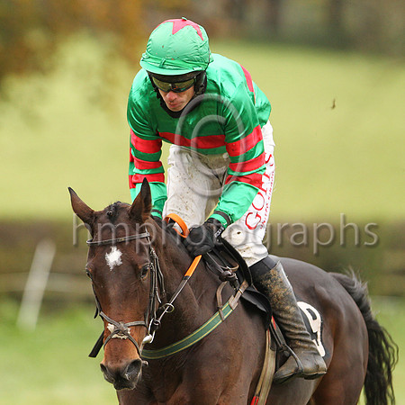 01st MISS US O and Derek O'Connor ( 9 , EMERALD GREEN,red hoop; emerald green  red hooped sleeves; emerald green cap,red star ) Trainer: B.R. Hamilton , Owner : Olivia Mary O'Reilly