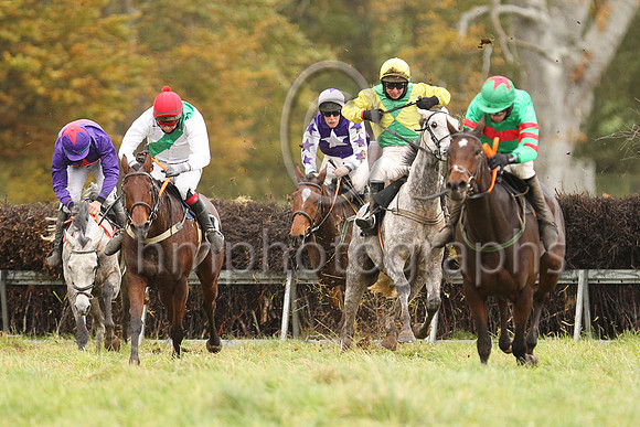 03rd BURNT ASH and B G Crawford ( 2 , PURPLE,red star; purple sleeves; purple cap,red star ) Trainer: S.R.B. Crawford,, Owner : E. Hamilton