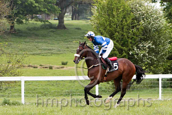 Court In Session , Winner, Jockey J J Codd - CU2D4811-e