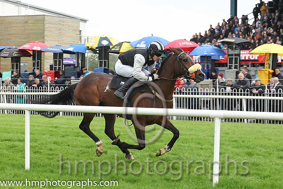 02 Ballintotty Boy & Mr P A King - 2nd (2, black, grey diamonds) - CU2D1852-32