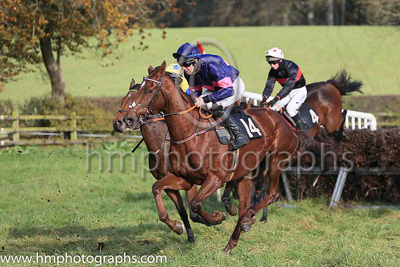 01st THE MEAN QUEEN and J J O'Neill ( 14 , DARK BLUE,pink triple diamond; dark blue sleeves,pink armlet; dark blue cap ) Trainer: Mary E. Doyle,, Owner : Rodman Moorhead